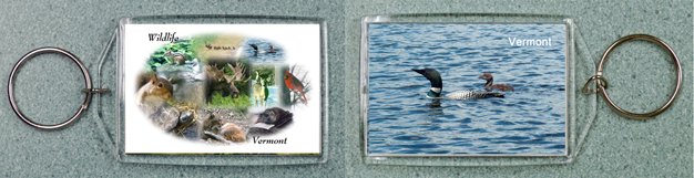 Vermont Wildlife Collage #1 and Loon and Chick